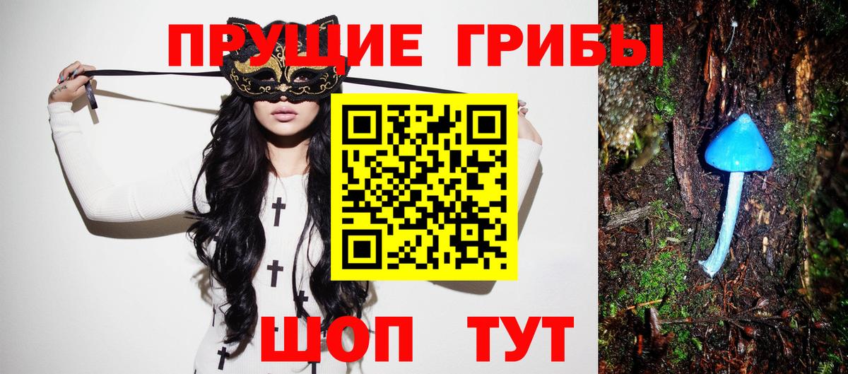 Галлюциногенные грибы прущие грибы Шали